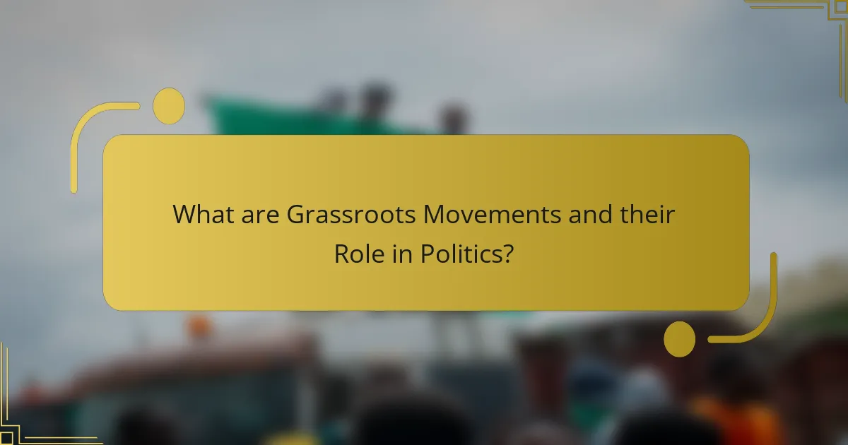 What are Grassroots Movements and their Role in Politics?