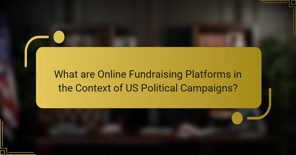 What are Online Fundraising Platforms in the Context of US Political Campaigns?
