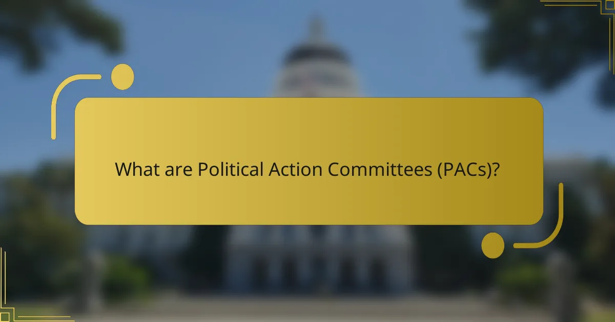 What are Political Action Committees (PACs)?