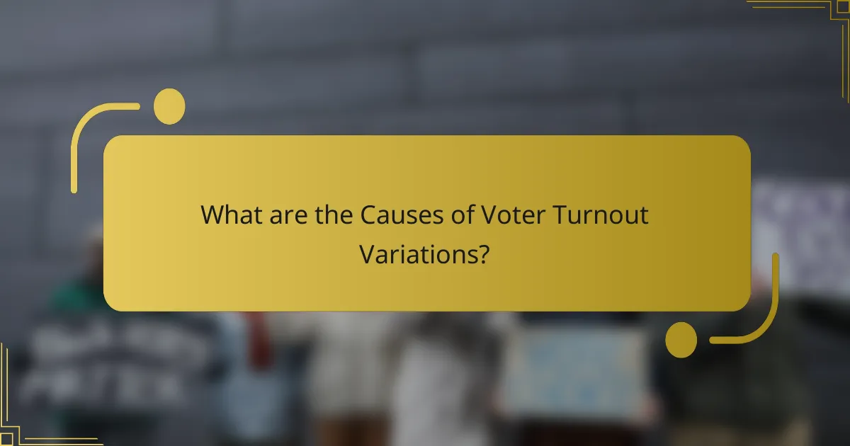 What are the Causes of Voter Turnout Variations?