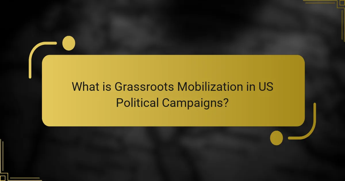 What is Grassroots Mobilization in US Political Campaigns?